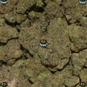 Blizzard Berry