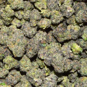 Blueberry Caviar