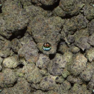 Dirty Zprite