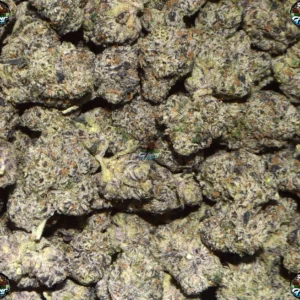 Glitter Bomb