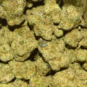 Pink Lemonade